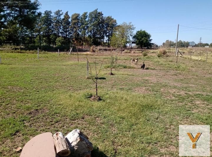 Terreno en Venta - 1080 m² - Abasto - 4