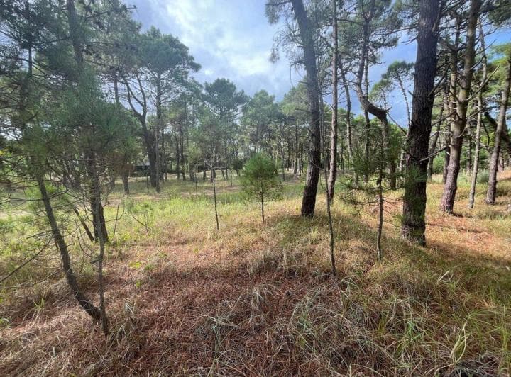 Venta de Lote en Pinamar. Barrio Bosques Etapa 1 - 4