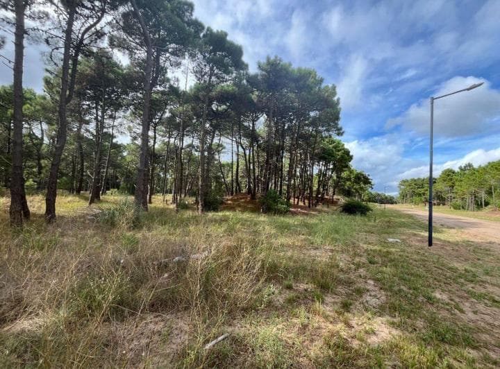 Venta de Lote en Pinamar. Barrio Bosques Etapa 1 - 2
