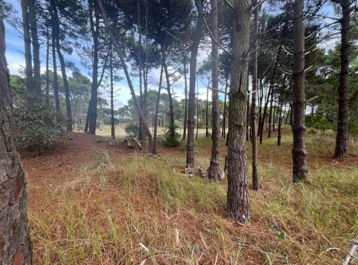 Venta de Lote en Pinamar. Barrio Bosques Etapa 1 - 5