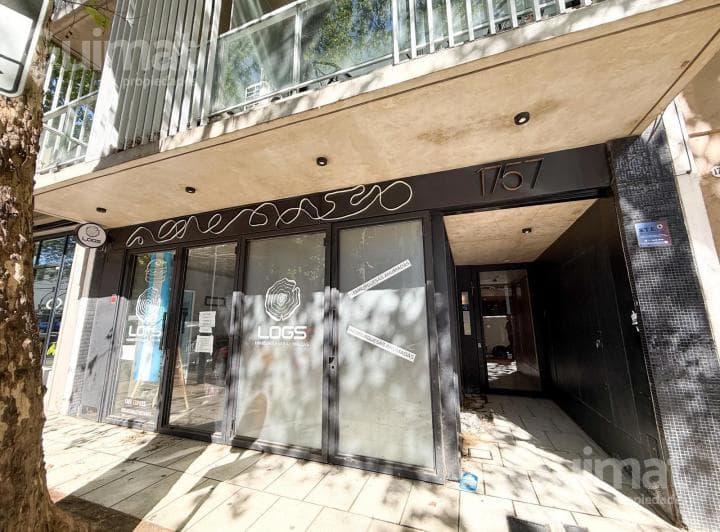 Local en Palermo - 3
