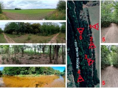 Excepcional Fracción de 5 Hectáreas con 500 m de Costa de Río – Ideal Desarrollo Turístico o Chacra - Principal