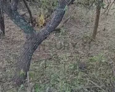 Lote 469 M2 en TERRAZAS DE RIO CEBALLOS - 4