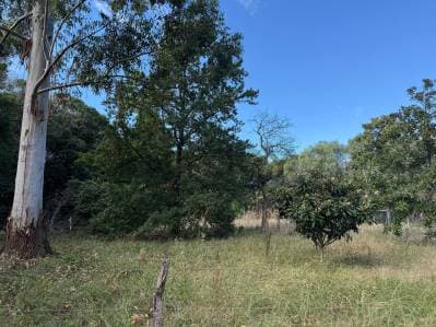 602 y 11 bis Lote en venta, La Plata - 3