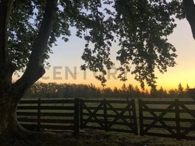 Lotes en venta en Brandsen - 2