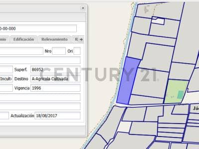 Venta en Jachal de 8,7 ha lindante a Molino Alto - Con Olivos - 2