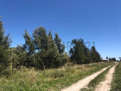 Lote en Venta en Los Talas, Berisso - 4