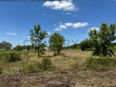 Lotes en venta en Barrio Nacho Correas - Principal