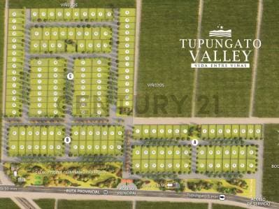 VENTA DE LOTE "TUPUNGATO VALLEY" - 3