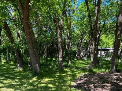 Lote en venta en El Rincon Villa Elisa - 2