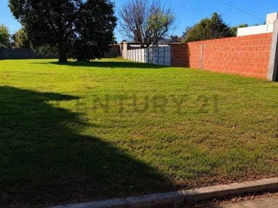 Amplio terreno de 375m2 en venta |10x37,5| Lisandro De La Torre al 3600 - Principal