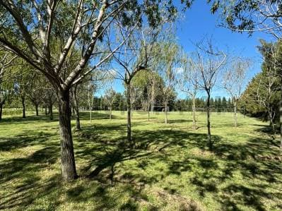 LOTE EN VENTA EN BRANDSEN - Principal