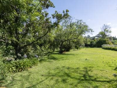 Lotes en Venta Villa Elisa - 3