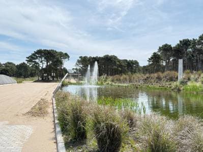 Terreno en Bosques, Pinamar - 5