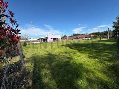 LOTE EN VENTA SAN MIGUEL DEL MONTE - 3