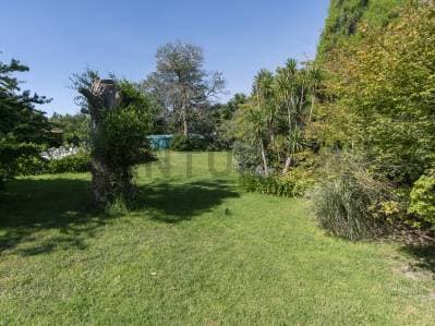 Lotes en Venta Villa Elisa - 5