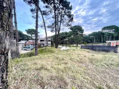 Terreno en Pinamar - 4