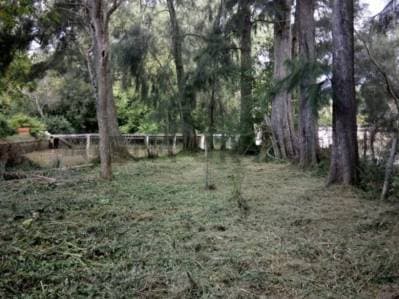 LOTE DE 30000 M2EN VENTA RIO LUJAN Y CANAL ARIAS - 3