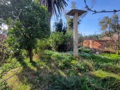 Venta Terreno Los Polvorines 667 m2 con edificación a reciclar - 5