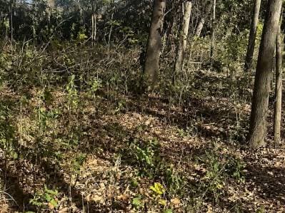 Lote en venta – Excelente oportunidad para inversores - 3
