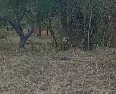 Lote 469 M2 en TERRAZAS DE RIO CEBALLOS - 2