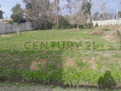 Venta de Lote en Villa Elvira, La Plata - 4