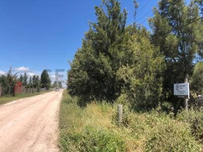 Lote en Venta en Los Talas, Berisso - 3