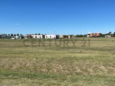 Lote único en venta - 1000 metros en Fincas de San Vicente -Laguna - 4