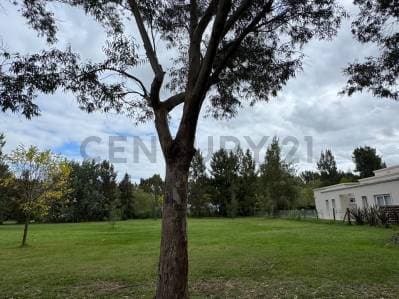 Lote en Venta en Miralagos II, Club de Campo, Golf & Spa. - 3