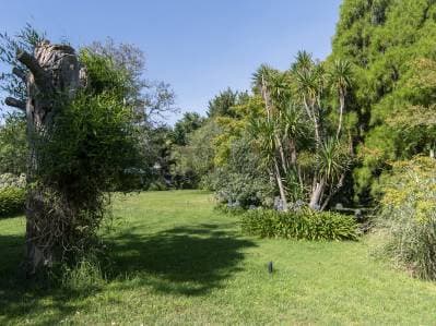 Lotes en Venta Villa Elisa - 2