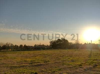 Lote en Venta en City Bell - Principal