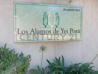 VENTA LOTE LOS ALAMOS 406 MTS YEI PORA - Principal