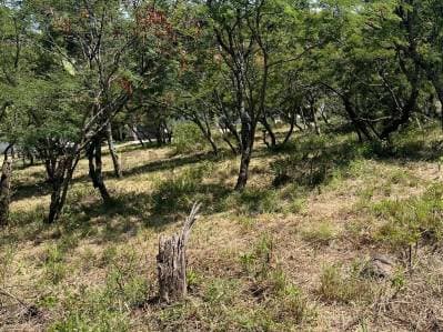 Terreno en venta – Molino de Vientos de Mendiolaza - Principal
