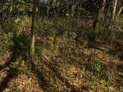 Lote en venta – Excelente oportunidad para inversores - 2