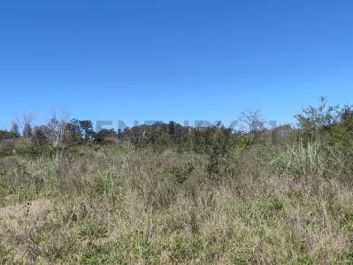 TERRENO / CAMPO 2,2 HECTAREAS EN VENTA. ARANA - 4