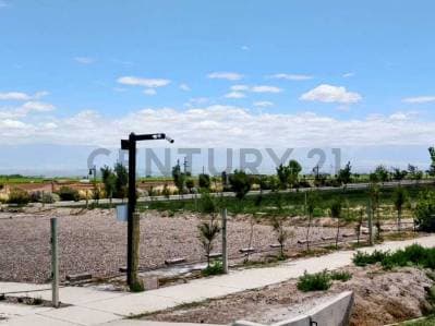 Century 21 López vende Lote en Barrio Privado Tupungato Valley Valle de Uco MendoA - 5
