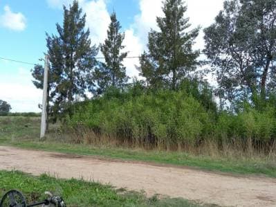 EXCELENTE TERRENO VENTA CORONEL BRANSEN - Principal