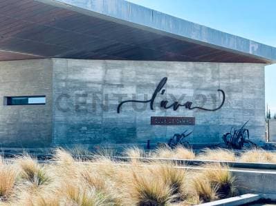 Luva Club de campo - Lote - 2