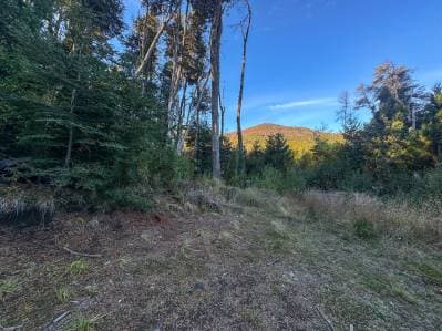 Venta lote Villa La Angostura - 5