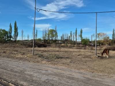VENTA LOTE RESIDENCIAL – CINCO SALTOS – RIO NEGRO - 2