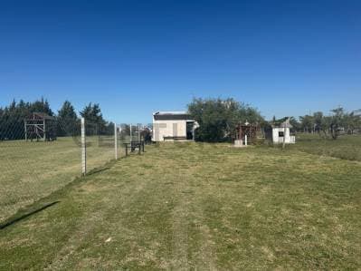 95 entre 170 y 173 - Quinta en venta - 3