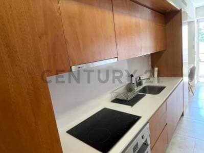Departamento en alquiler amoblado en zona Plaza San Martin - PALACIO PAZ XXI - 5