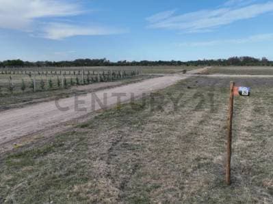 LOTE DE TERRENO EN LOS TALAS - 5