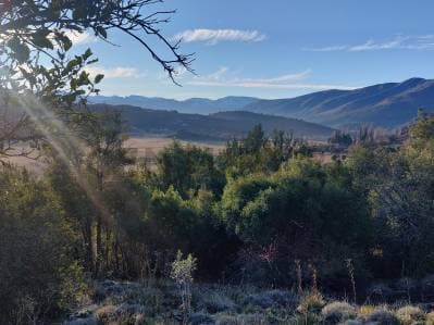 LOTE EN VENTA - SAN MARTIN DE LOS ANDES - Principal