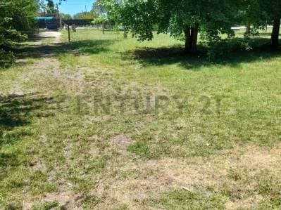Lote en venta en arturo segui - 4
