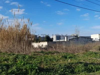 LOTE EN VENTA DE 469M2, 133 ENTRE 518 Y 519. - 3