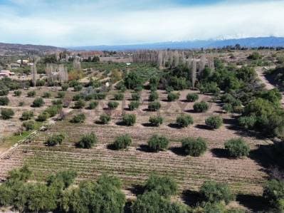VENTA DE FINCA EN LUNLUNTA - 3
