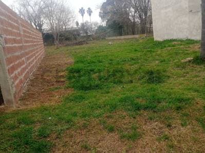 Venta - Terreno - Gessler - 3