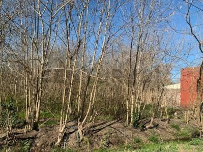Lote en Venta en City Bell, en calle 450 e/ 28 y 28 bis. Lote propio N°24 con una superficie tot... - 3