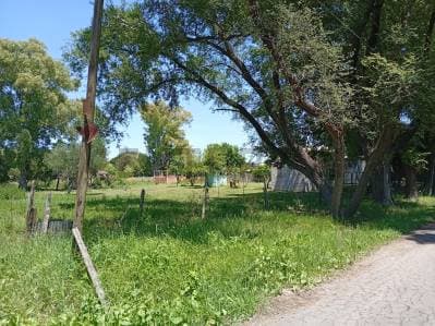 139 ENTRE 524 Y 525 - TERRENO EN VENTA DE 3597M2. SAN CARLOS, LA PLATA. - 5